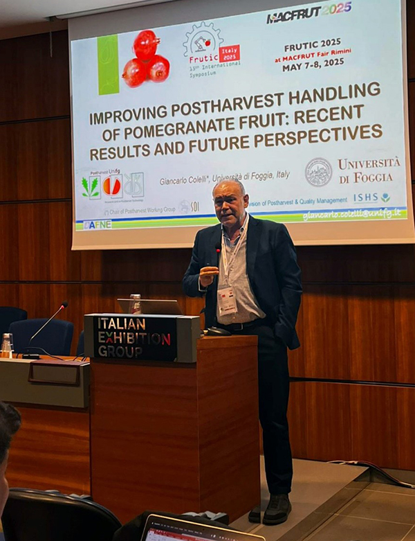 Il Prof. Giancarlo Colelli (Università di Foggia) presenta la Keynote lecture dal titolo “Ottimizzazione della Fase Postraccolta di Frutti i Melograno: Risultati Recenti e Prospettive Future”.